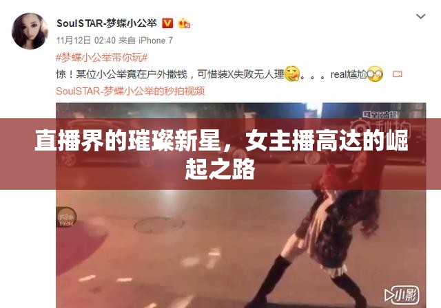 直播界的璀璨新星，女主播高達(dá)的崛起之路