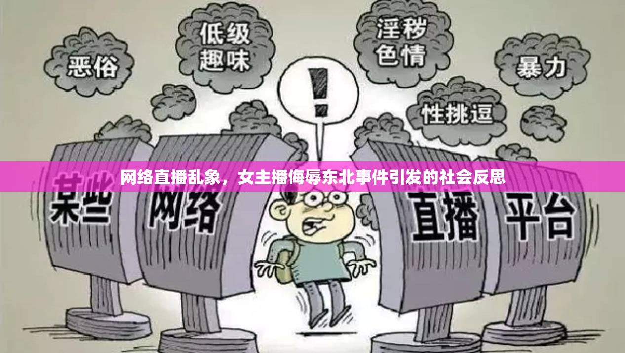 網(wǎng)絡(luò)直播亂象，女主播侮辱東北事件引發(fā)的社會反思