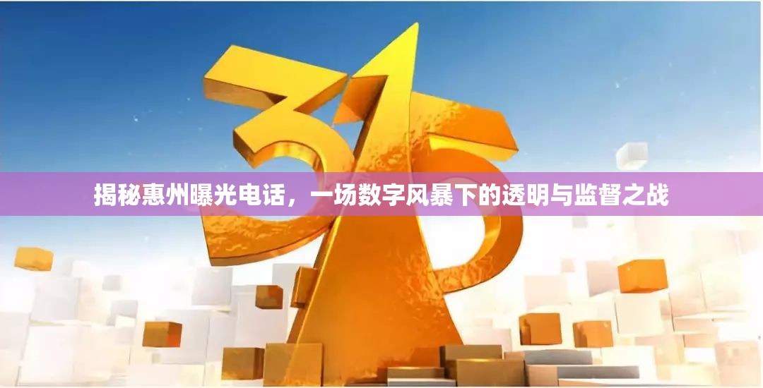 揭秘惠州曝光電話，一場數(shù)字風暴下的透明與監(jiān)督之戰(zhàn)