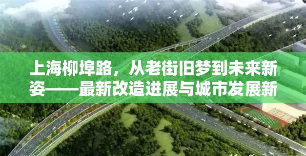 上海柳埠路，從老街舊夢到未來新姿——最新改造進展與城市發(fā)展新篇章