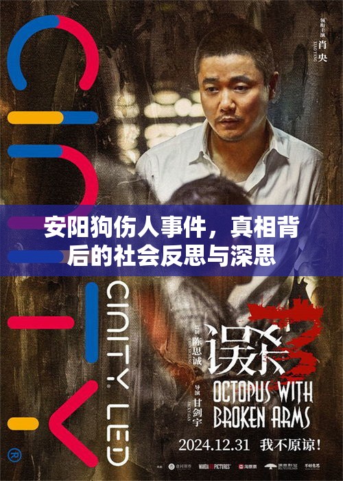 安陽狗傷人事件，真相背后的社會(huì)反思與深思