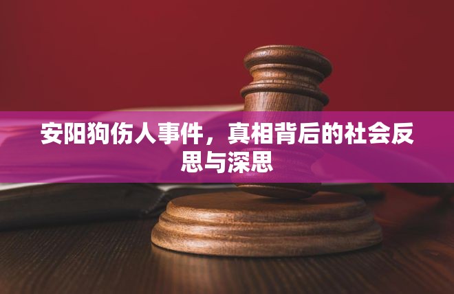 安陽狗傷人事件，真相背后的社會(huì)反思與深思