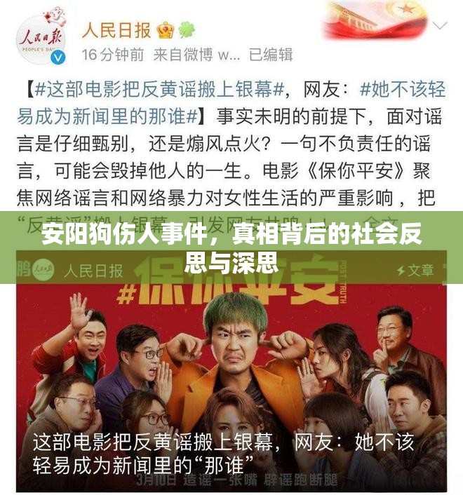 安陽狗傷人事件，真相背后的社會(huì)反思與深思