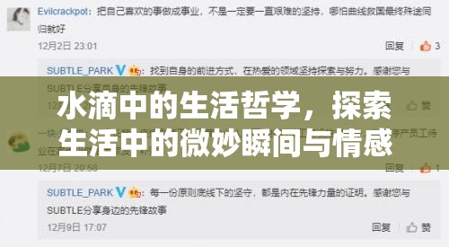 水滴中的生活哲學(xué)，探索生活中的微妙瞬間與情感共鳴
