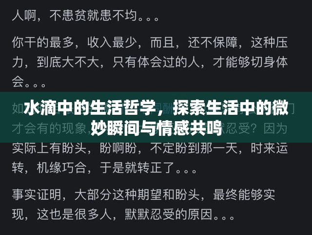 水滴中的生活哲學(xué)，探索生活中的微妙瞬間與情感共鳴