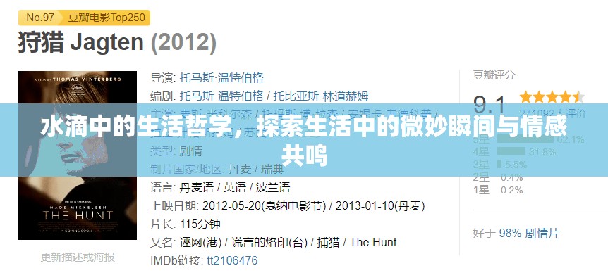 水滴中的生活哲學(xué)，探索生活中的微妙瞬間與情感共鳴