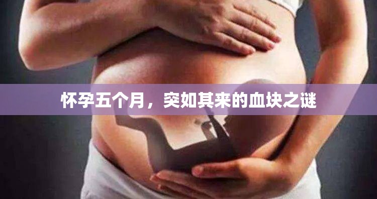 懷孕五個月，突如其來的血塊之謎