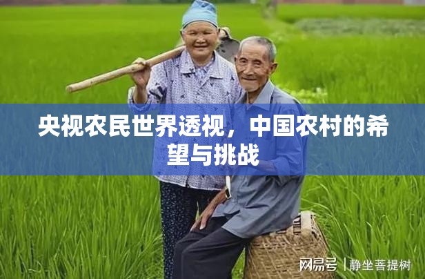央視農(nóng)民世界透視，中國農(nóng)村的希望與挑戰(zhàn)