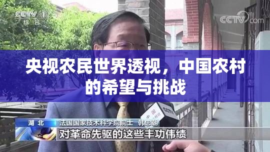 央視農(nóng)民世界透視，中國農(nóng)村的希望與挑戰(zhàn)