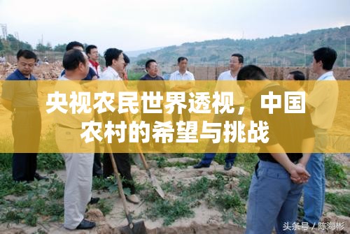 央視農(nóng)民世界透視，中國農(nóng)村的希望與挑戰(zhàn)
