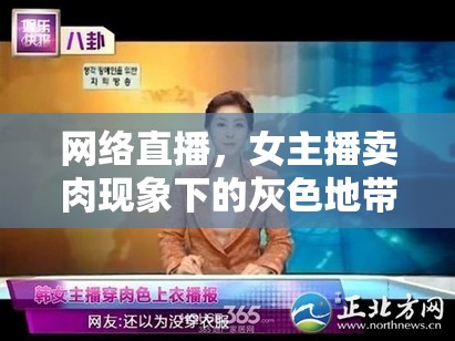 網(wǎng)絡(luò)直播，女主播賣肉現(xiàn)象下的灰色地帶與道德困境