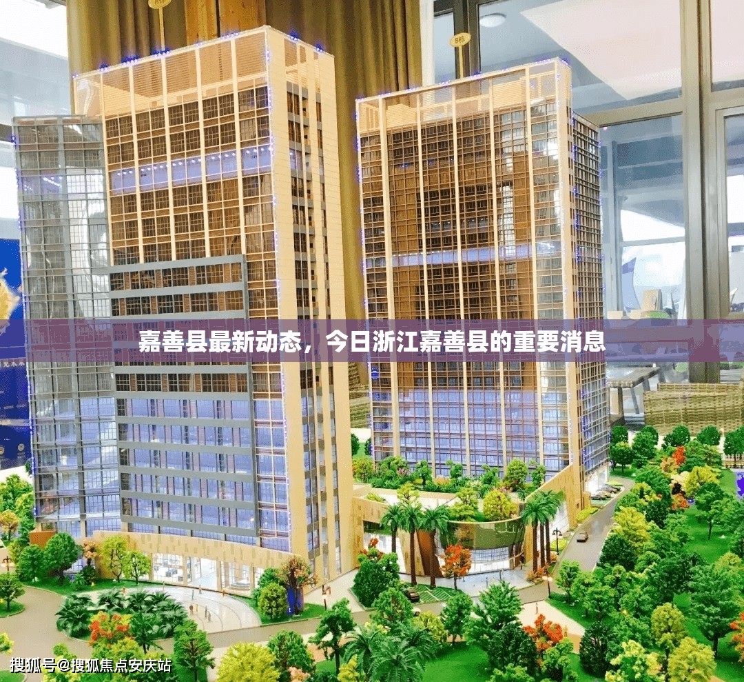 嘉善縣最新動態(tài)，今日浙江嘉善縣的重要消息