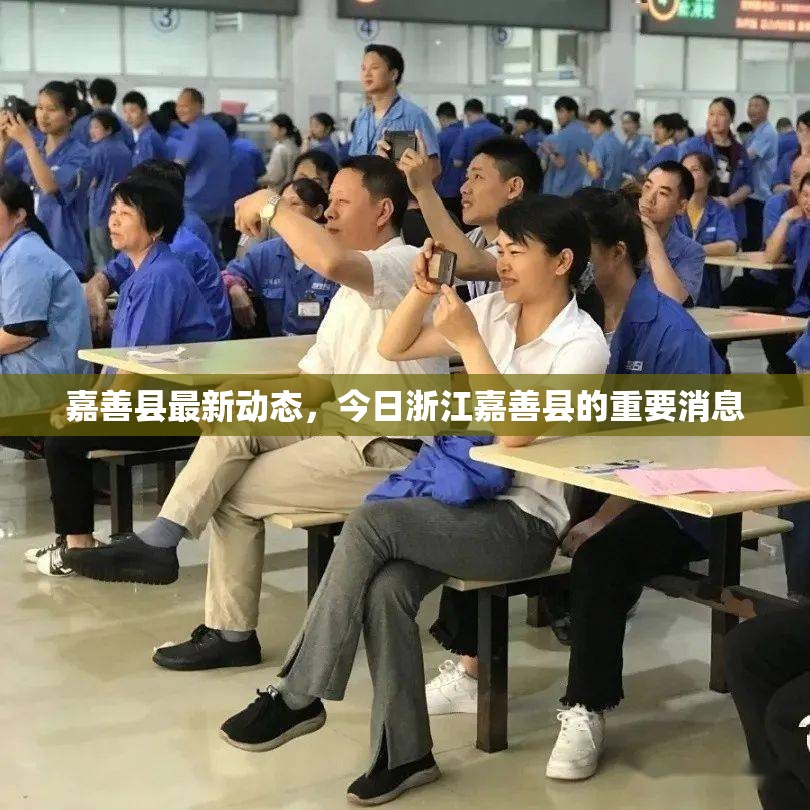 嘉善縣最新動態(tài)，今日浙江嘉善縣的重要消息