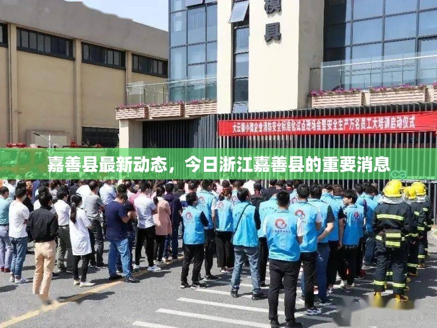 嘉善縣最新動態(tài)，今日浙江嘉善縣的重要消息