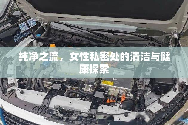 純凈之流，女性私密處的清潔與健康探索
