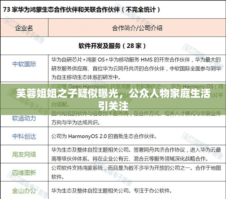 芙蓉姐姐之子疑似曝光，公眾人物家庭生活引關注