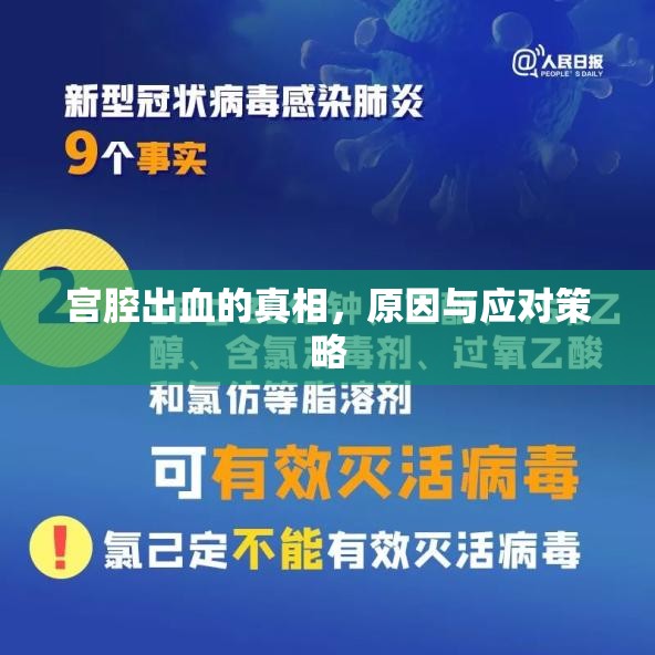 宮腔出血的真相，原因與應(yīng)對策略