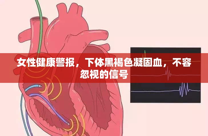 女性健康警報(bào)，下體黑褐色凝固血，不容忽視的信號(hào)