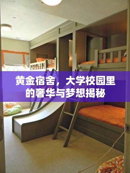 黃金宿舍，大學(xué)校園里的奢華與夢(mèng)想揭秘