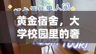 黃金宿舍，大學(xué)校園里的奢華與夢(mèng)想揭秘