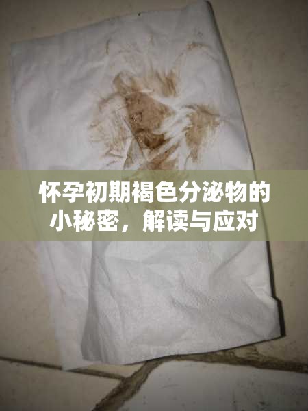 懷孕初期褐色分泌物的小秘密，解讀與應(yīng)對(duì)