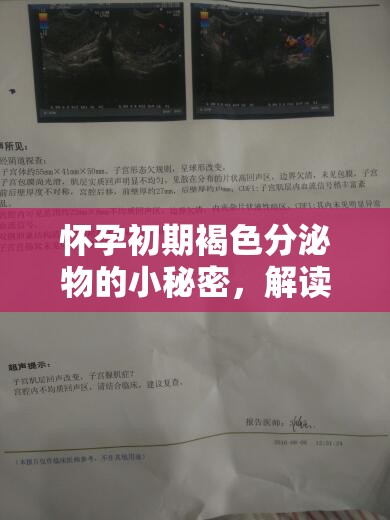懷孕初期褐色分泌物的小秘密，解讀與應(yīng)對(duì)