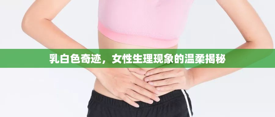 乳白色奇跡，女性生理現(xiàn)象的溫柔揭秘