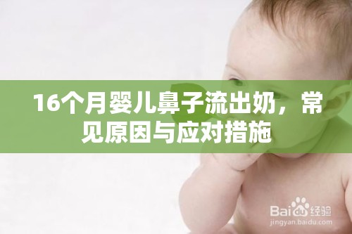 16個(gè)月嬰兒鼻子流出奶，常見原因與應(yīng)對(duì)措施