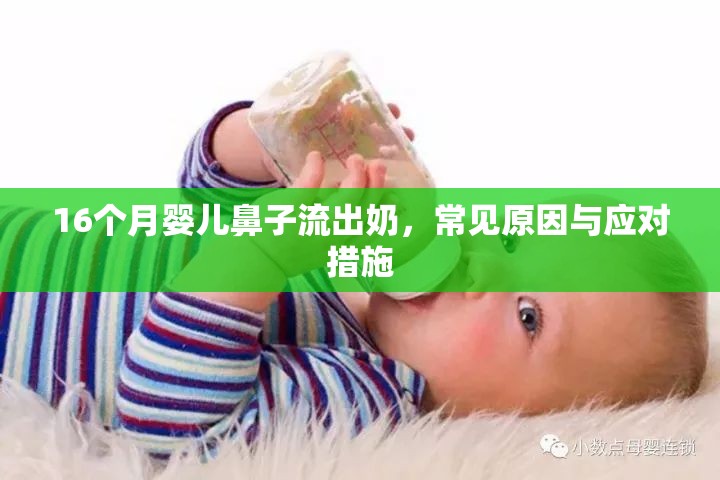 16個(gè)月嬰兒鼻子流出奶，常見原因與應(yīng)對(duì)措施