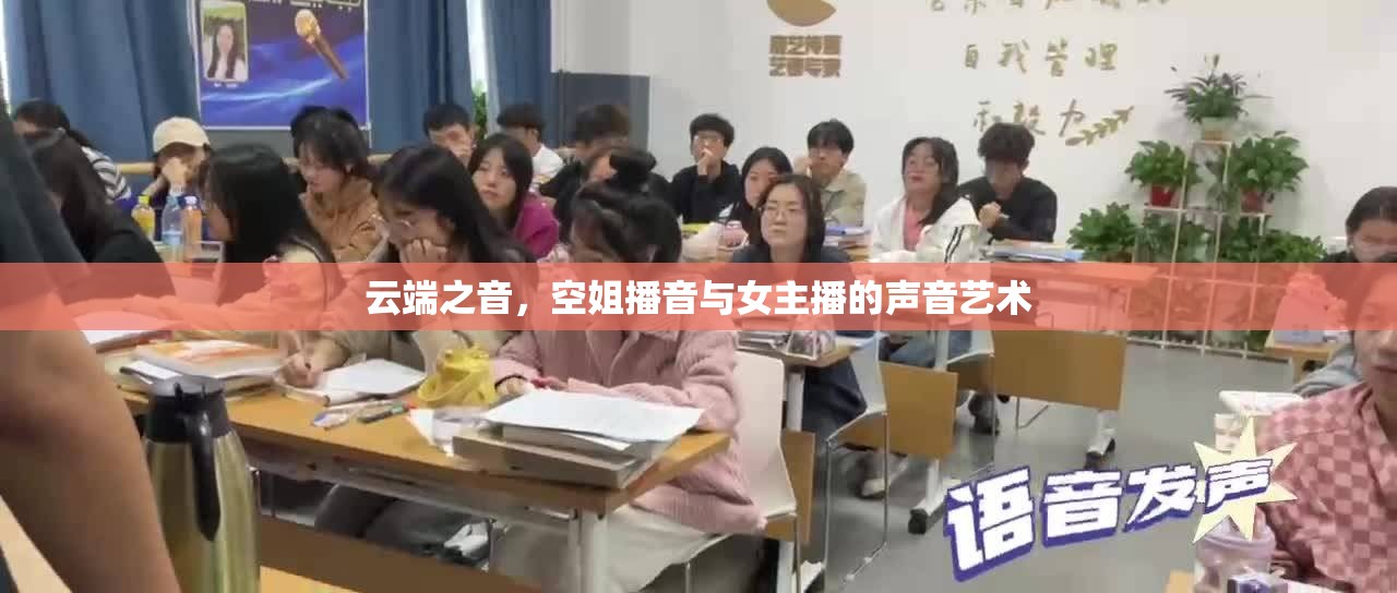 云端之音，空姐播音與女主播的聲音藝術(shù)