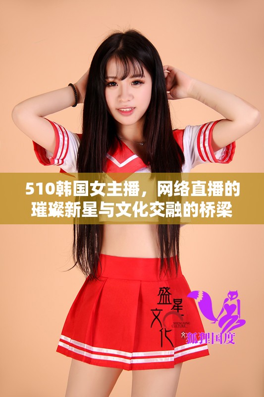 510韓國女主播，網(wǎng)絡(luò)直播的璀璨新星與文化交融的橋梁