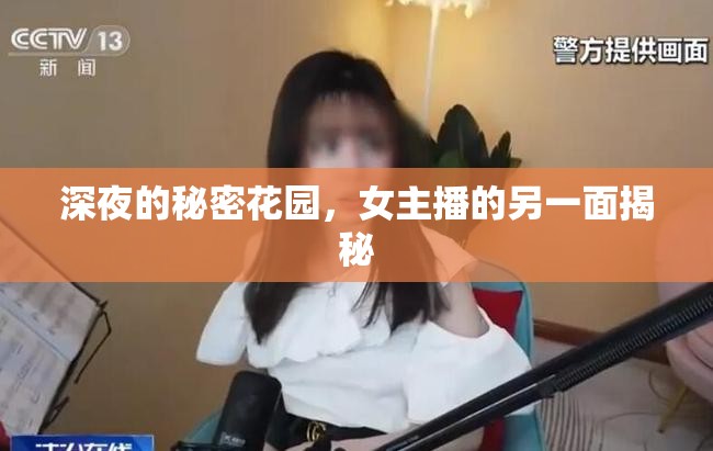 深夜的秘密花園，女主播的另一面揭秘