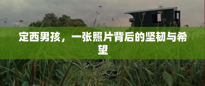 定西男孩，一張照片背后的堅韌與希望