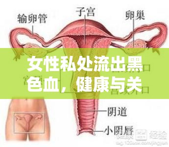 女性私處流出黑色血，健康與關(guān)懷的深度解析