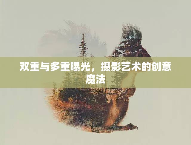 雙重與多重曝光，攝影藝術的創(chuàng)意魔法