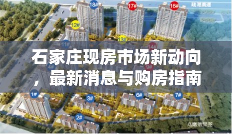 石家莊現(xiàn)房市場(chǎng)新動(dòng)向，最新消息與購(gòu)房指南