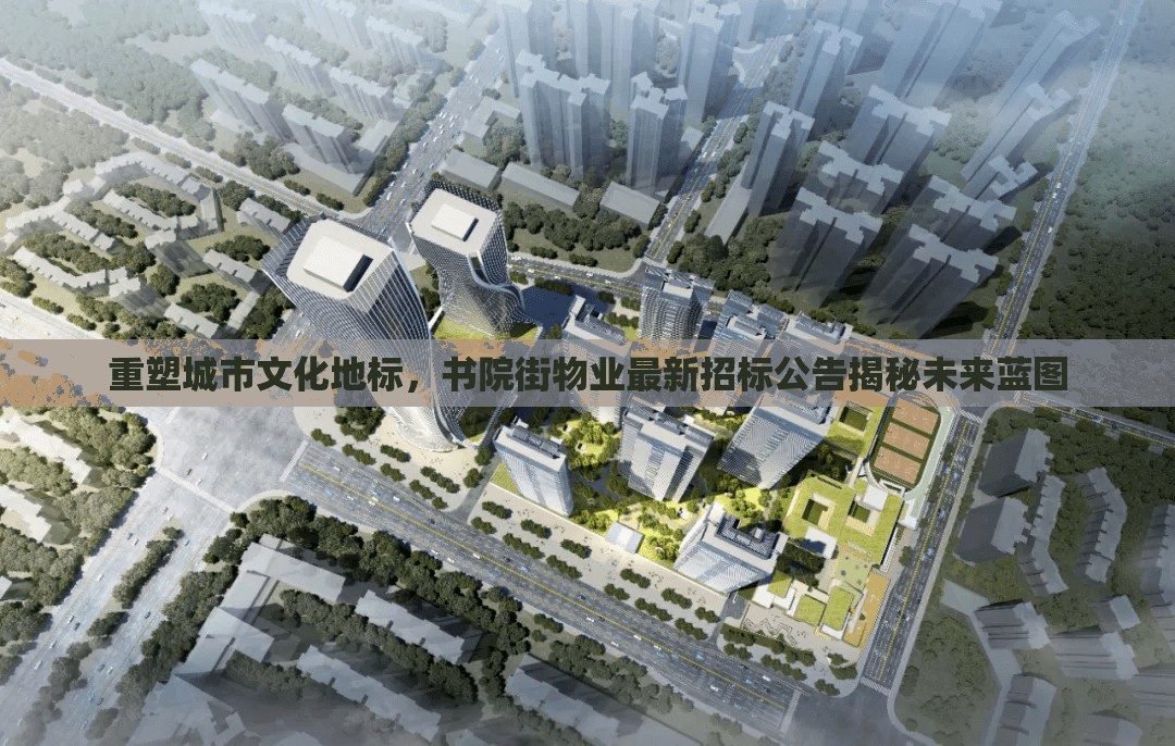 重塑城市文化地標(biāo)，書(shū)院街物業(yè)最新招標(biāo)公告揭秘未來(lái)藍(lán)圖
