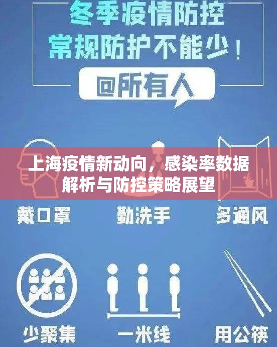 上海疫情新動向，感染率數(shù)據(jù)解析與防控策略展望