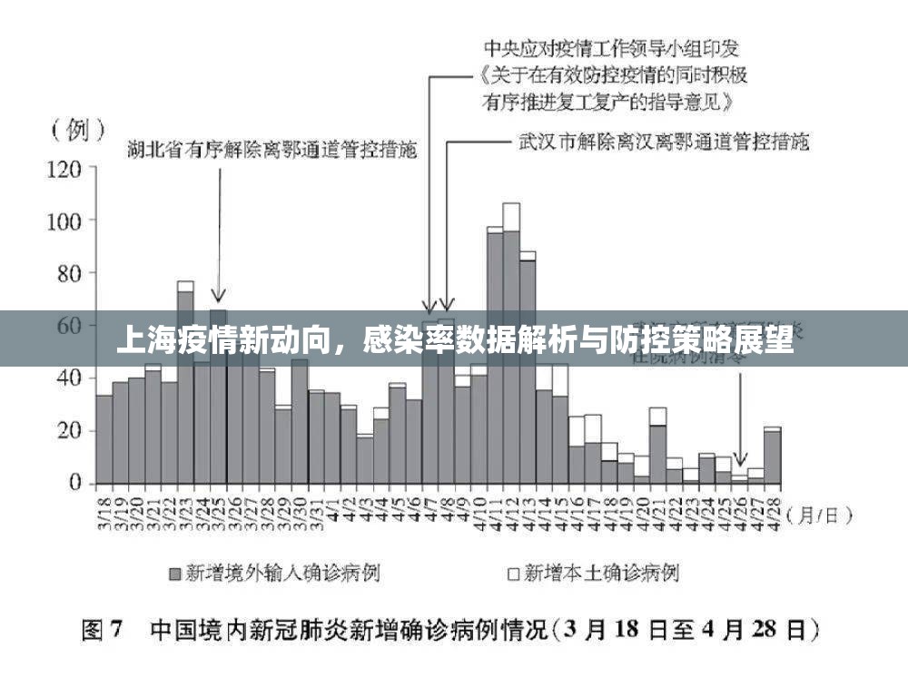 上海疫情新動向，感染率數(shù)據(jù)解析與防控策略展望