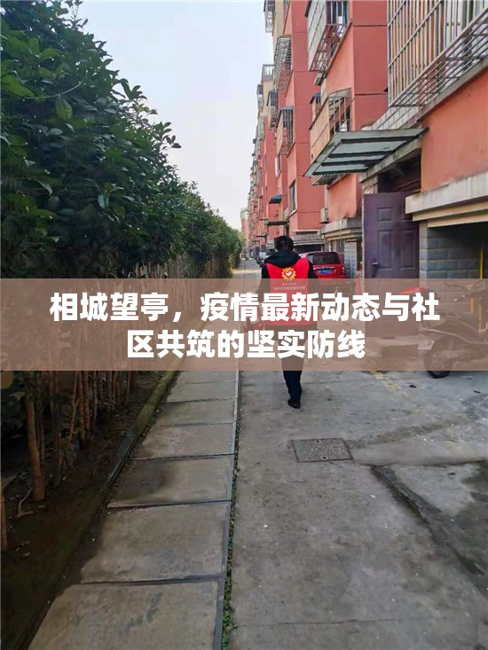 相城望亭，疫情最新動(dòng)態(tài)與社區(qū)共筑的堅(jiān)實(shí)防線