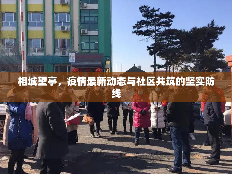 相城望亭，疫情最新動(dòng)態(tài)與社區(qū)共筑的堅(jiān)實(shí)防線