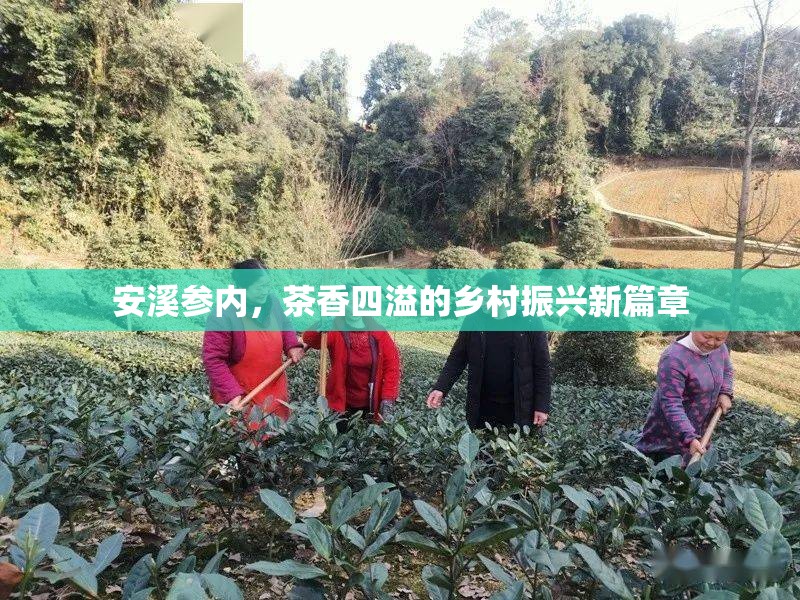 安溪參內(nèi)，茶香四溢的鄉(xiāng)村振興新篇章