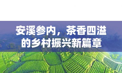 安溪參內(nèi)，茶香四溢的鄉(xiāng)村振興新篇章