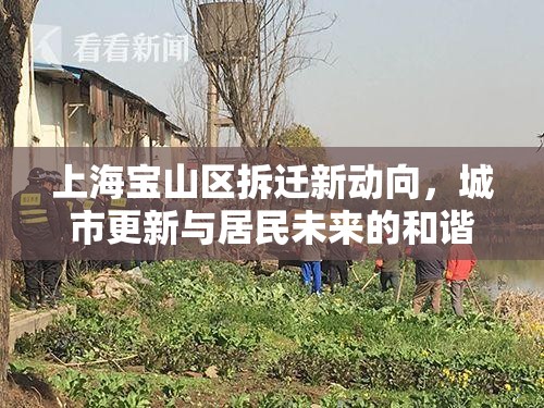 上海寶山區(qū)拆遷新動向，城市更新與居民未來的和諧共舞