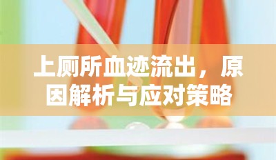 上廁所血跡流出，原因解析與應對策略的全面健康指南