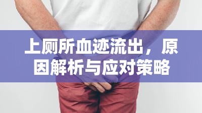 上廁所血跡流出，原因解析與應對策略的全面健康指南