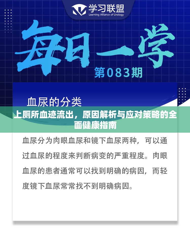 上廁所血跡流出，原因解析與應對策略的全面健康指南