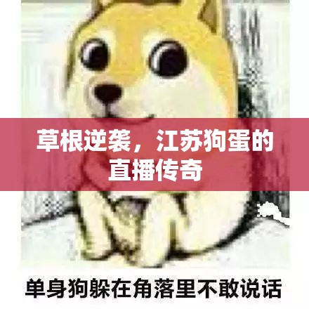 草根逆襲，江蘇狗蛋的直播傳奇