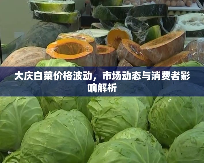 大慶白菜價格波動，市場動態(tài)與消費者影響解析