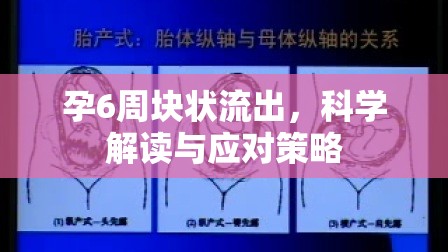 孕6周塊狀流出，科學(xué)解讀與應(yīng)對(duì)策略